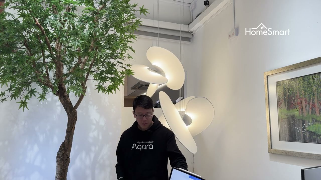 HomeSmart Discovery Station - Shades