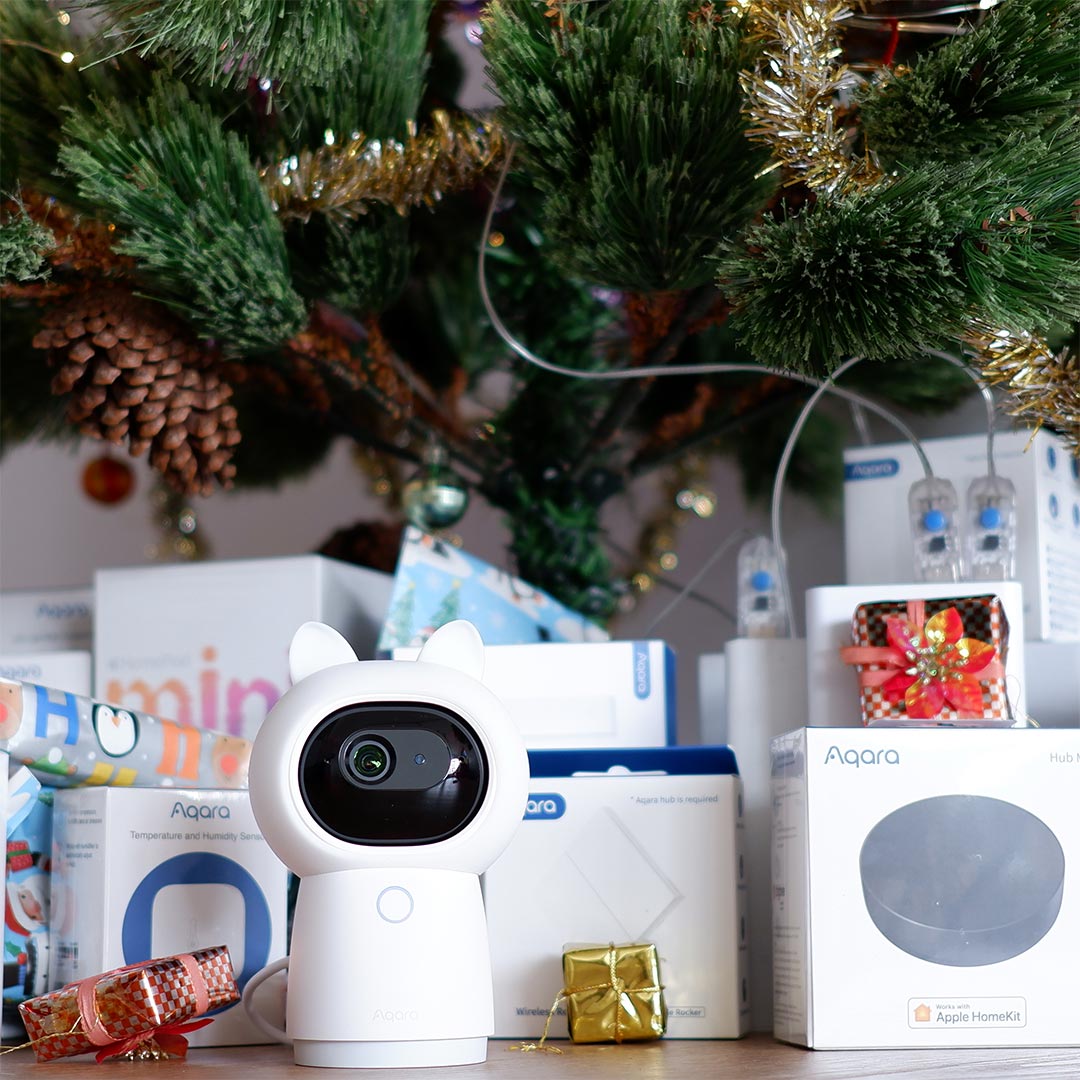Christmas Gift Smart Home