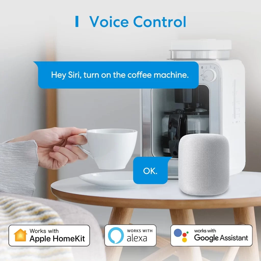 Meross Smart Plug Voice Control