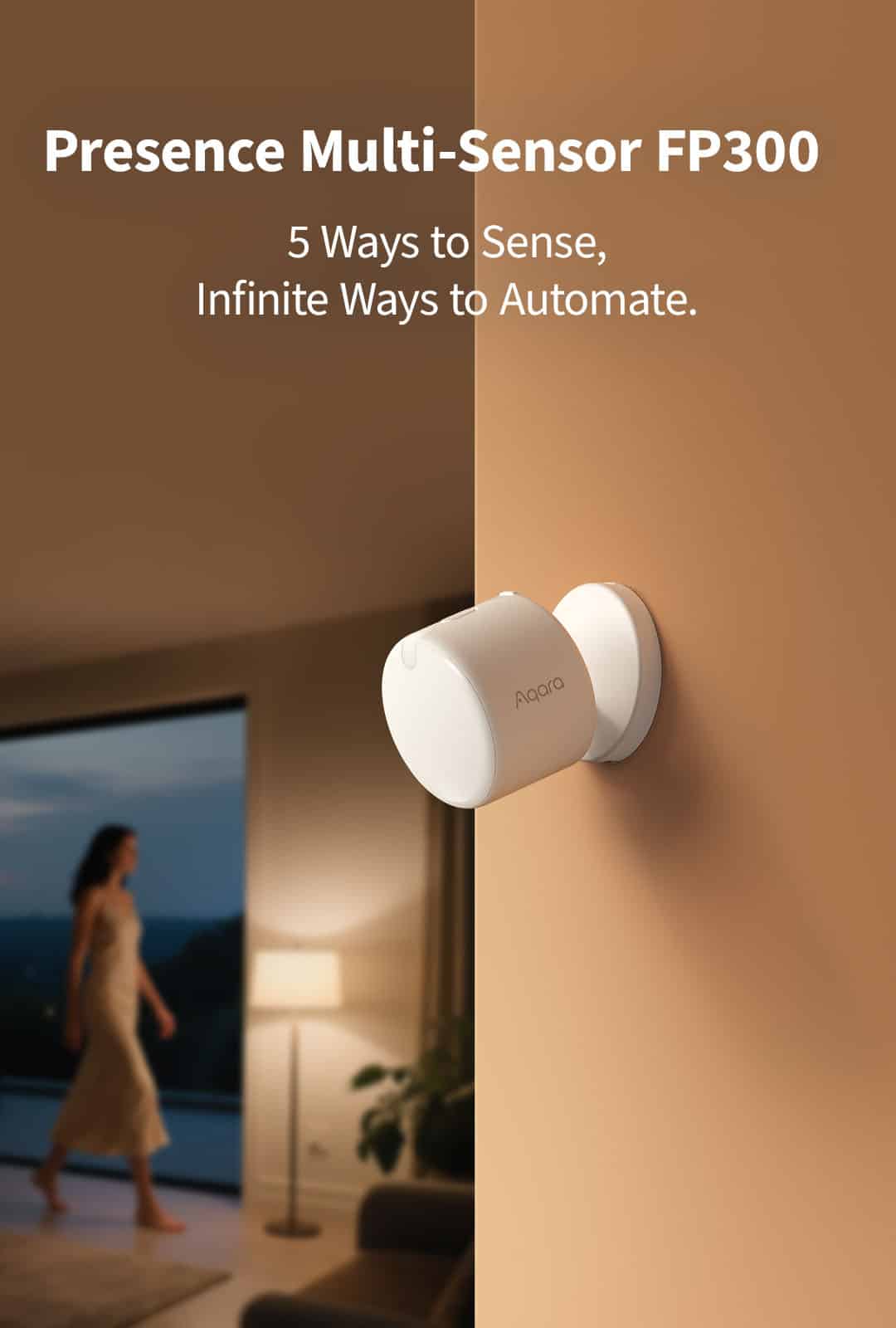 1. introduction fp300