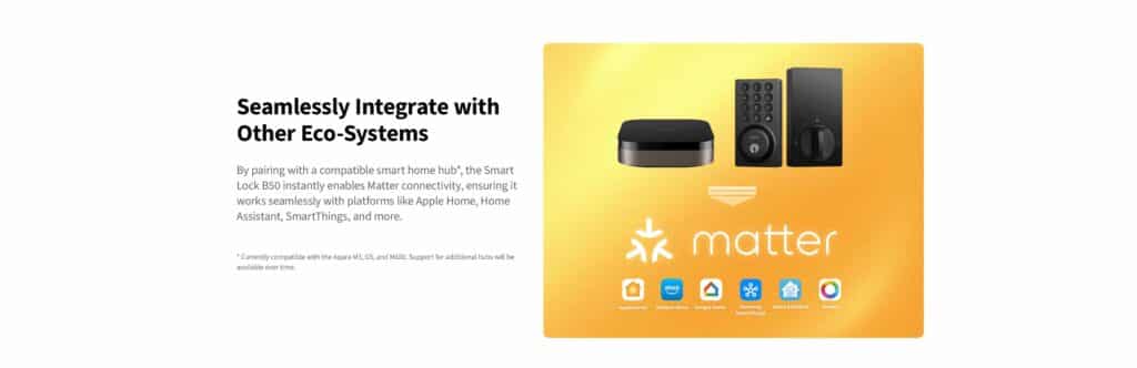 7. b50 matter support