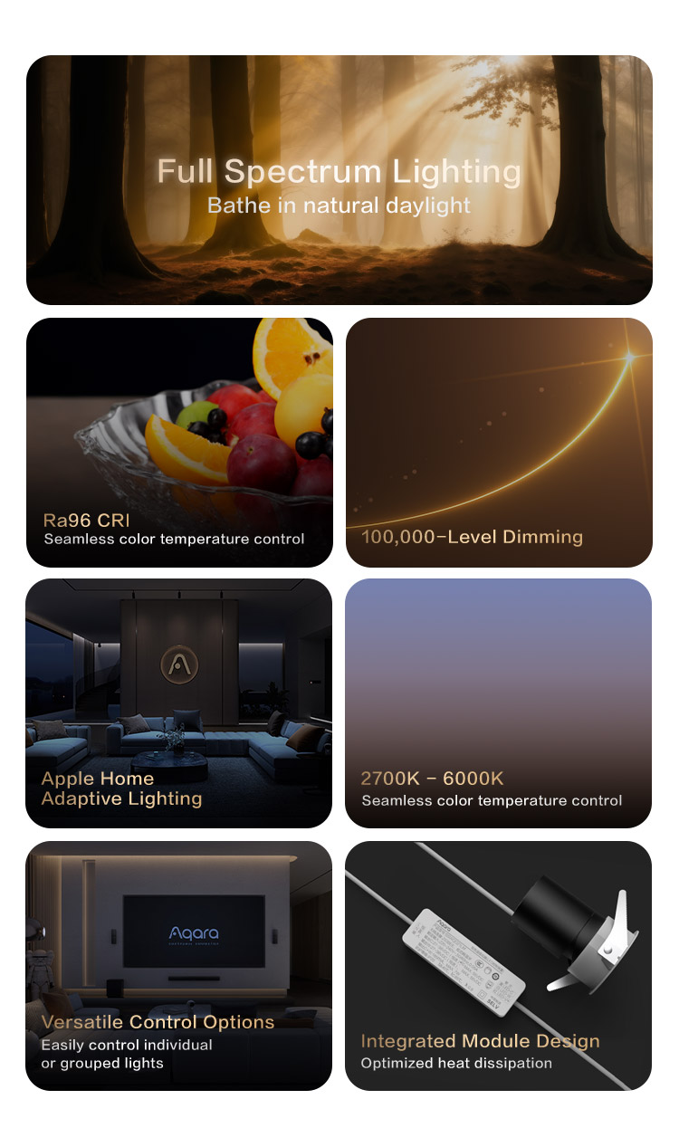 2. T2 Pro Features